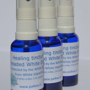 3 x Healing tincture 4-headed White Dragon