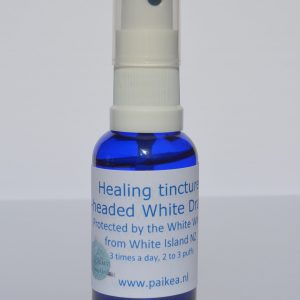 Healing tincture 4-headed White Dragon